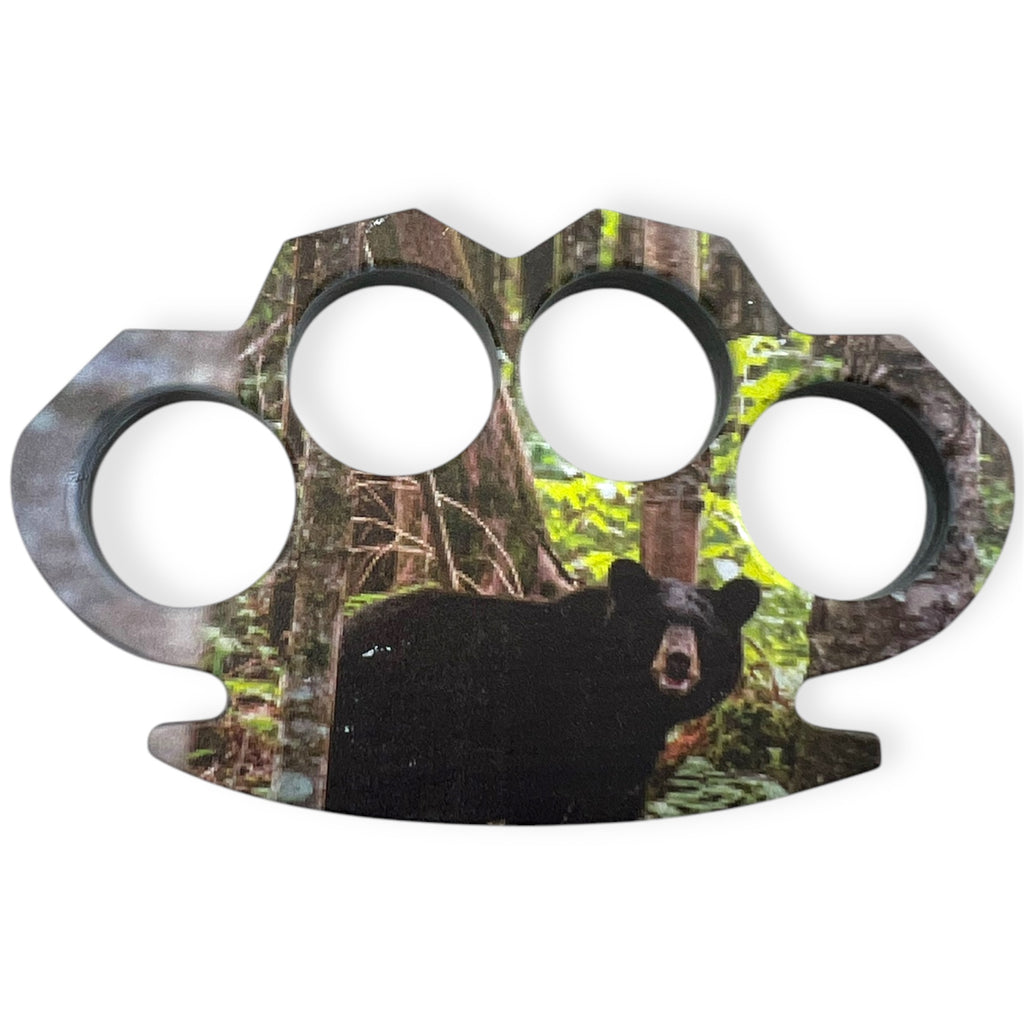 Bear in the woods 