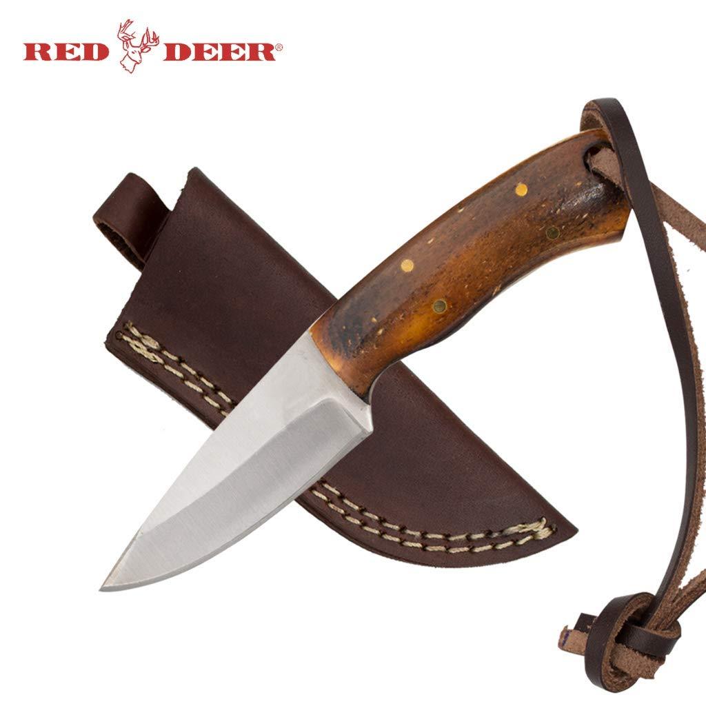 Red Deer Drop Point Full Tang 5.5 Inch Burnt Bone Hunting Knife - AnyTime Blades