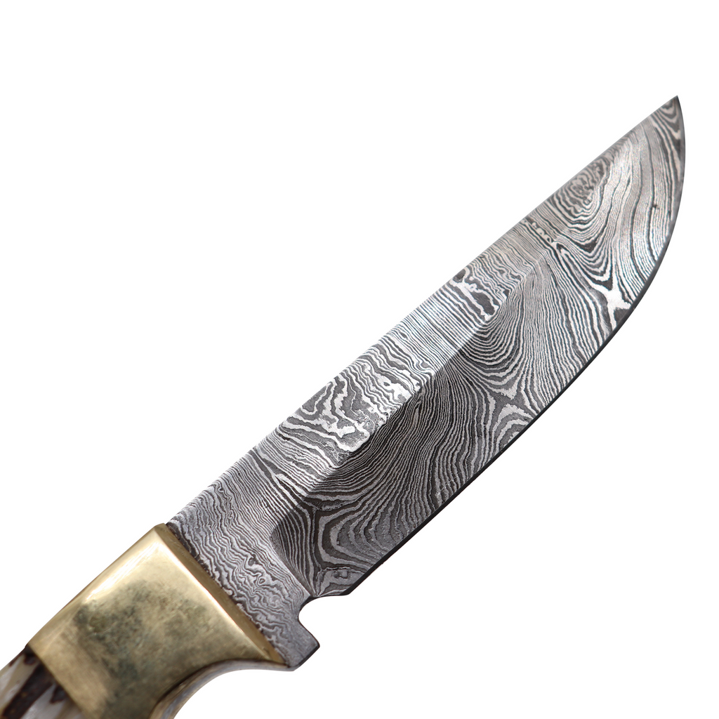 8.5" Red Deer Damascus Hunting Knife Bone Handle - AnyTime Blades